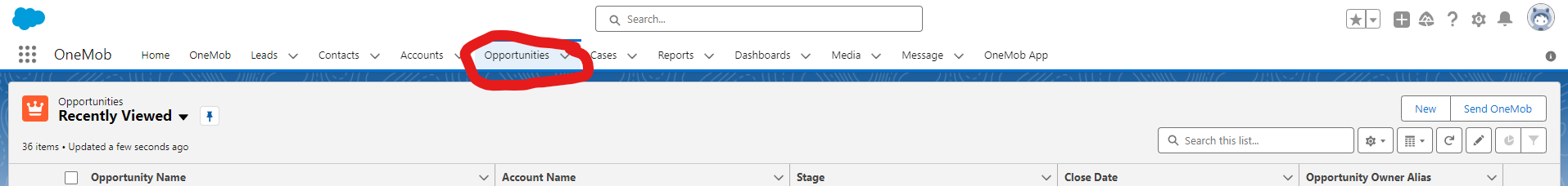 Opportunity tab.png